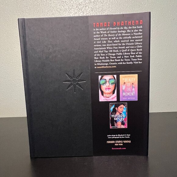 THE WRATH OF AMBAR ~ HUNTED BY THE SKY & RISING LIKE A STORM ~ by Tanaz Bhathena - Picture 13 of 13